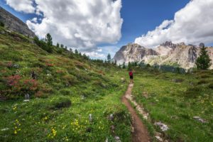 Emma Gatewood: Guardian of the Appalachian Trail by Linda Harris Sittig