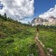 Emma Gatewood: Guardian of the Appalachian Trail by Linda Harris Sittig