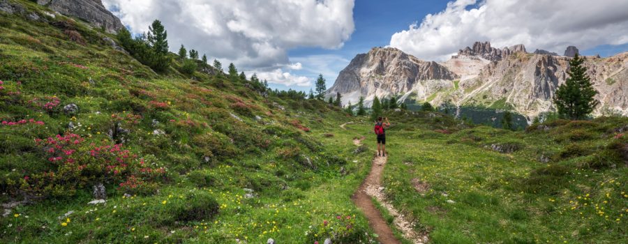 Emma Gatewood: Guardian of the Appalachian Trail by Linda Harris Sittig